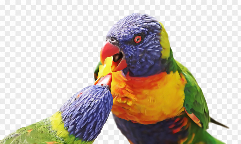 Bird PNG