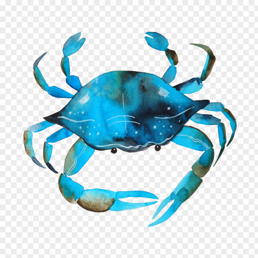 Chesapeake Blue Crab Watercolor Painting Photography Printmaking PNG blue crab painting Printmaking, Creative watercolor crab, illustration clipart PNG