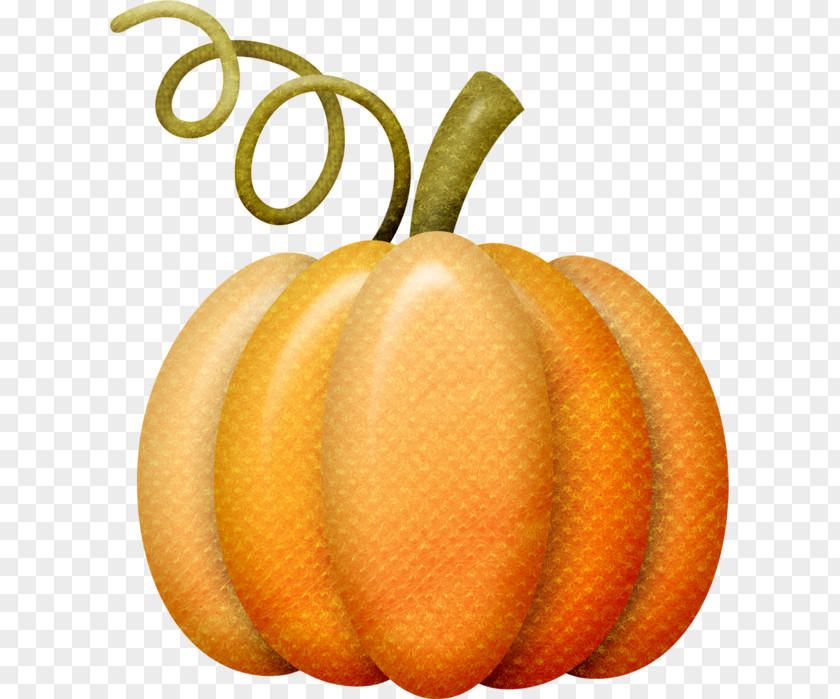 Pumpkin Calabaza Winter Squash Gourd Autumn PNG