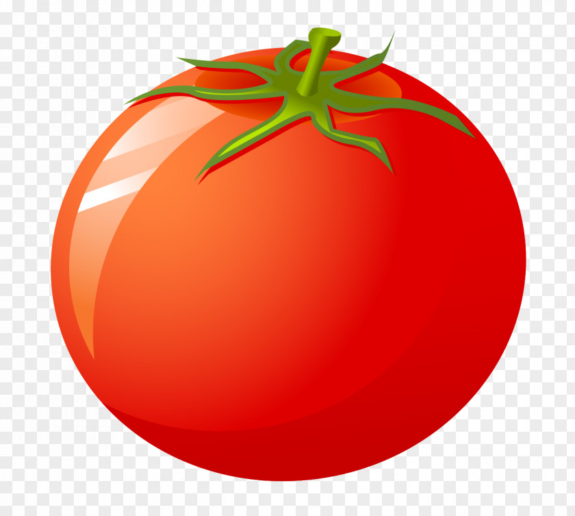 Tomato Cherry Bush Food PNG