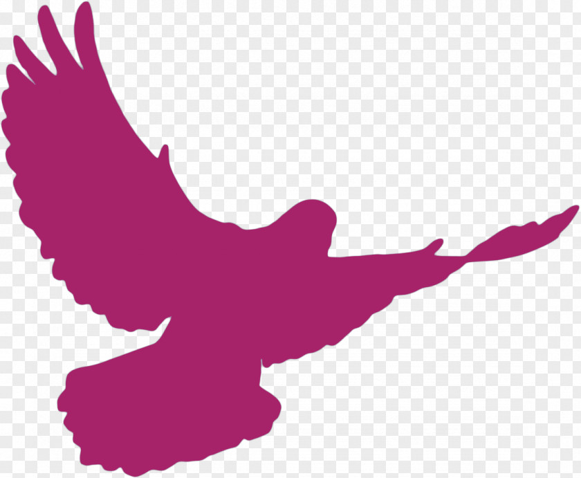 WORSHIP Columbidae Doves As Symbols Silhouette PNG