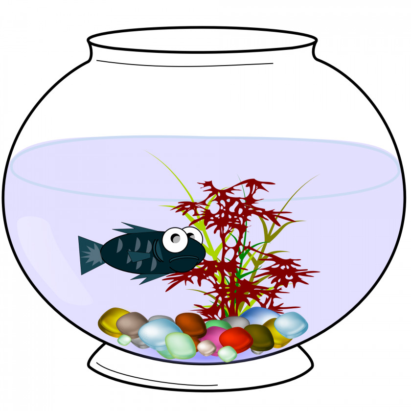 Aquarium Fish Bowl Clip Art PNG