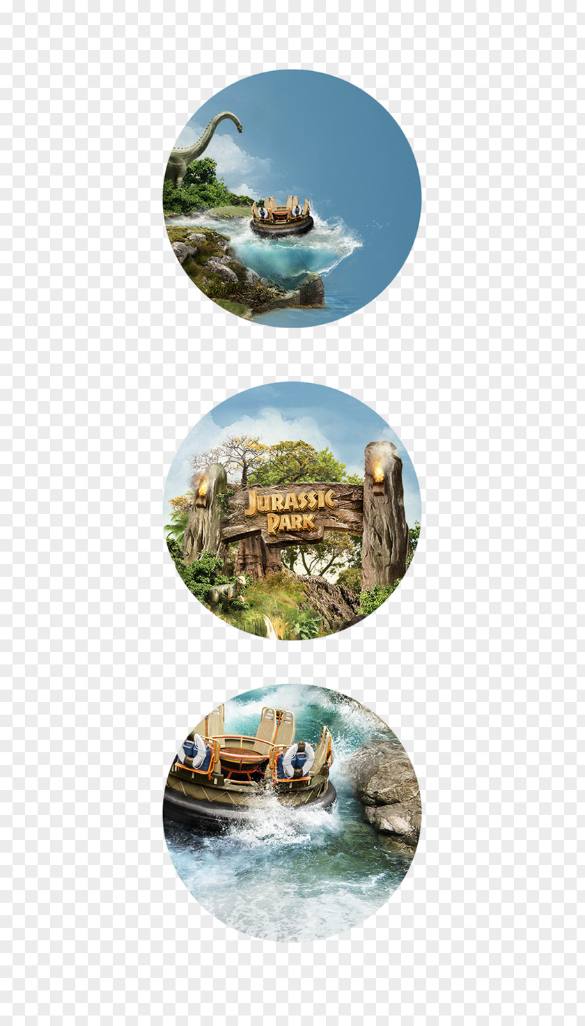 Universal Studio Singapore Water Resources Ecosystem Fauna PNG