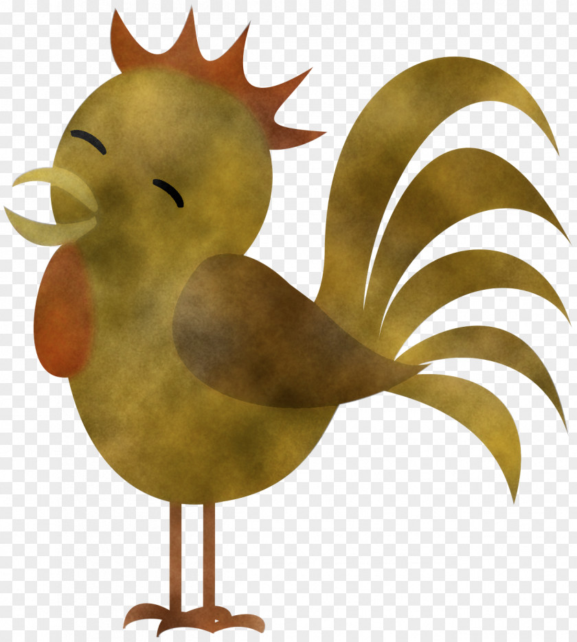 Bird Chicken Rooster Yellow Beak PNG