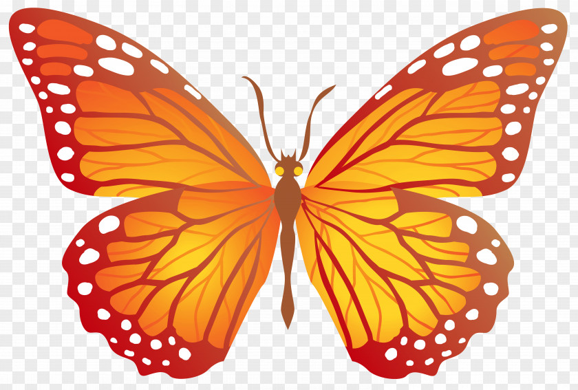 Butterfly With Yellow Image Clip Art PNG