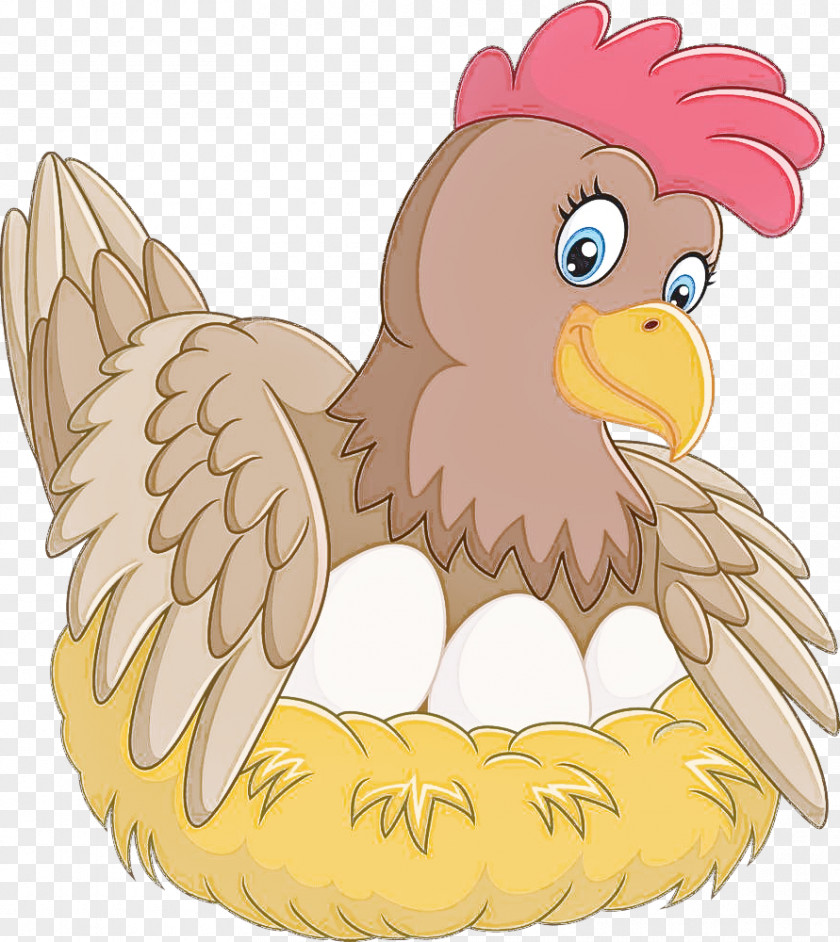 Cartoon Chicken Wing Bird Beak PNG