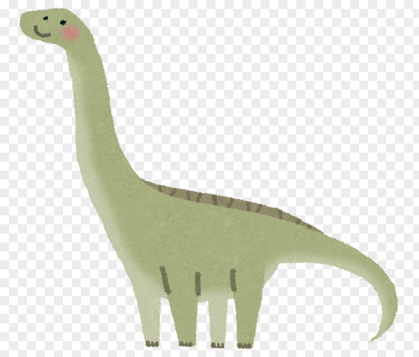 Dinosaur Apatosaurus Velociraptor Rapetosaurus Brontosaurus PNG