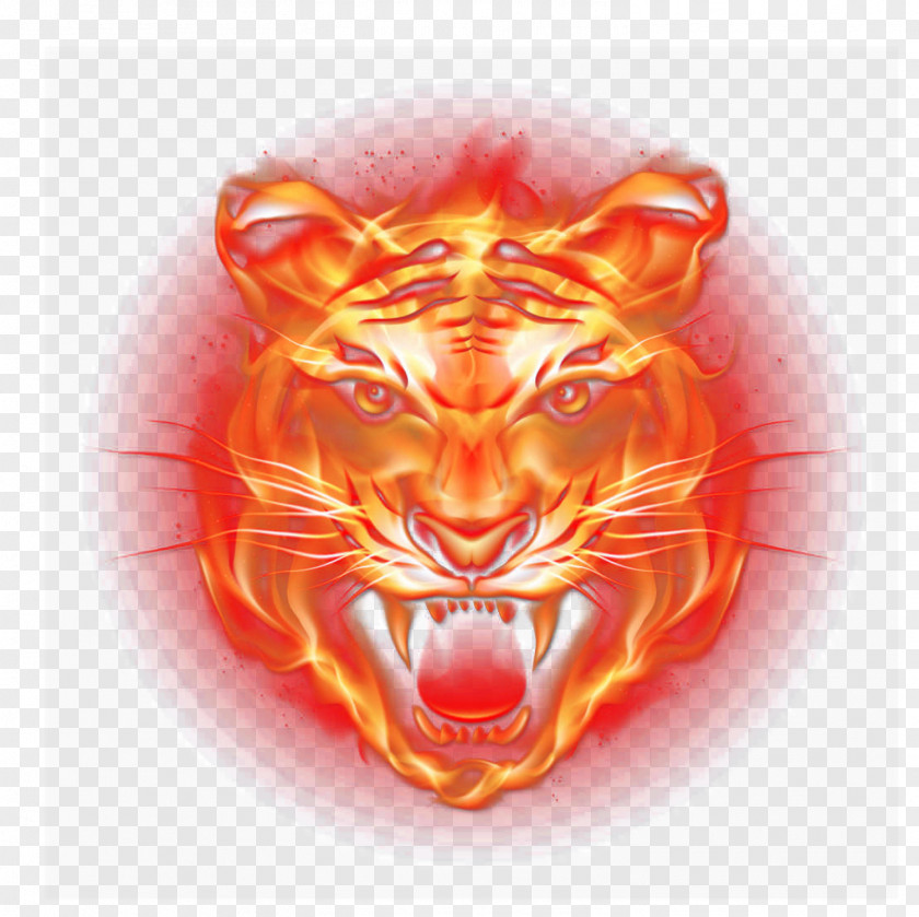 Flame Tiger Light Fire PNG