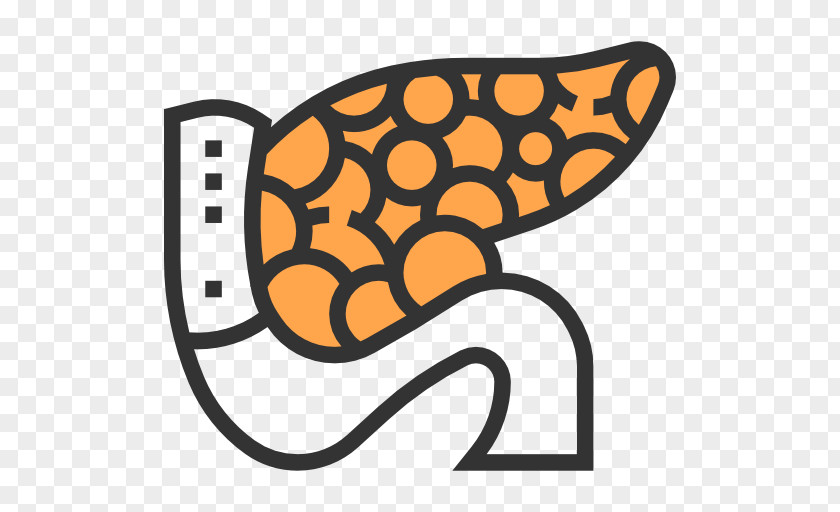 Pancreas PNG
