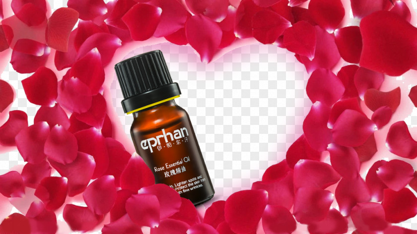 Rose Essential Oil WhatsApp Download Hindi Song PNG