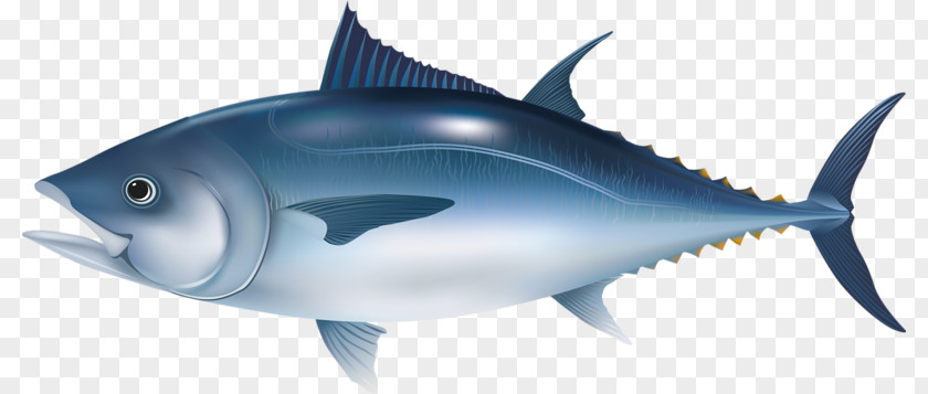 Sea Fish Microsoft PowerPoint Tuna Template Presentation Slide PNG