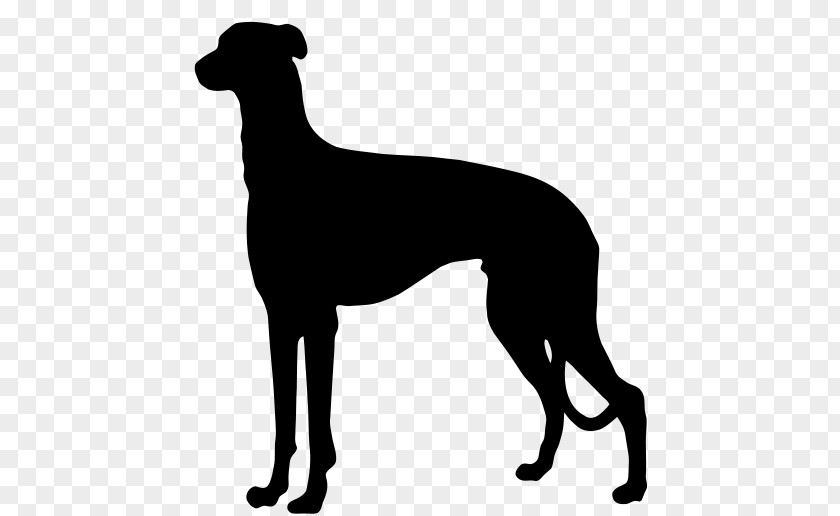 Silhouette Australian Cattle Dog German Shorthaired Pointer Wirehaired Ormskirk Terrier PNG