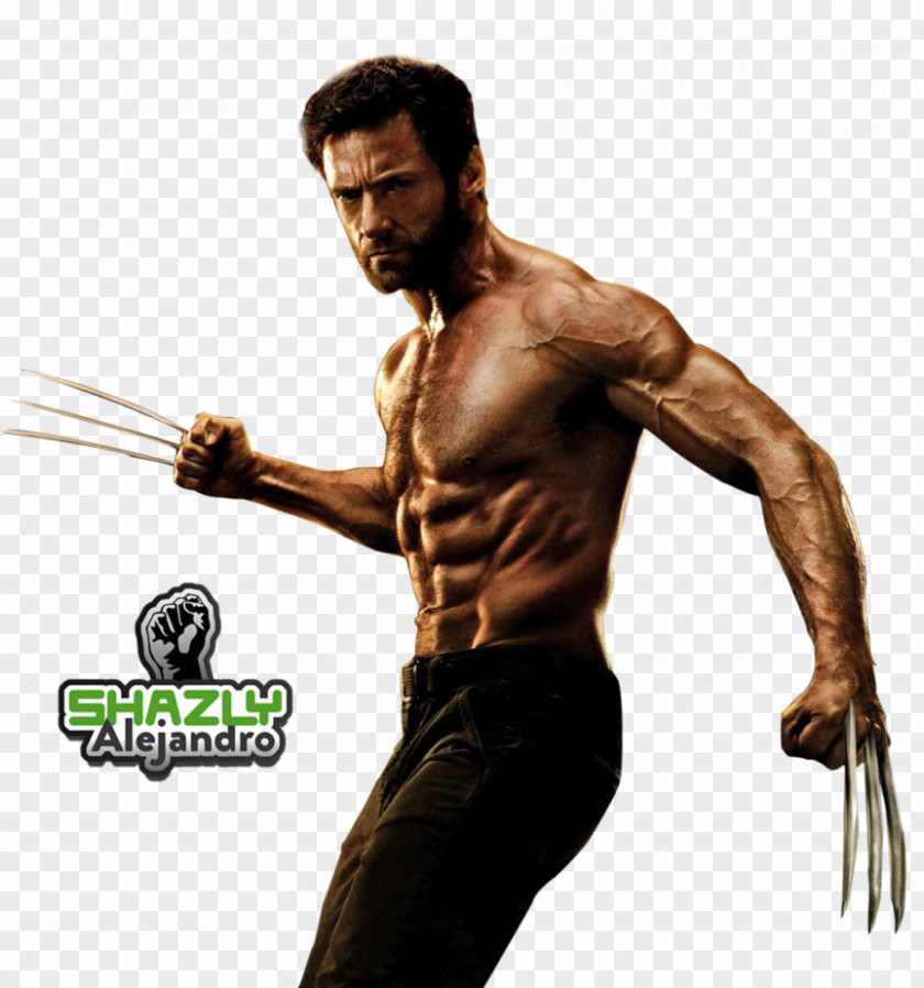 Wolverine Deadpool X-23 PNG