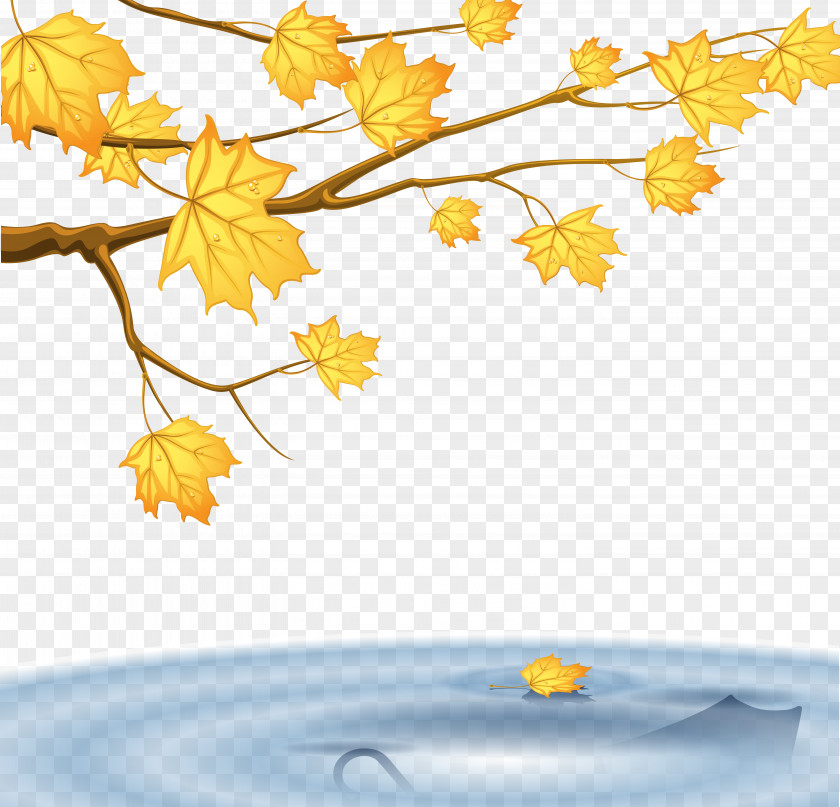 Maple Autumn Eleven Minutes Like The Flowing River Author Publishing DC Books PNG