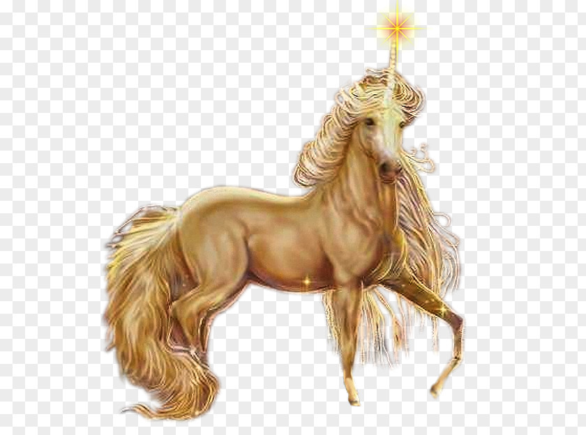 Unicorn Pegasus Horse Fairy Elf PNG