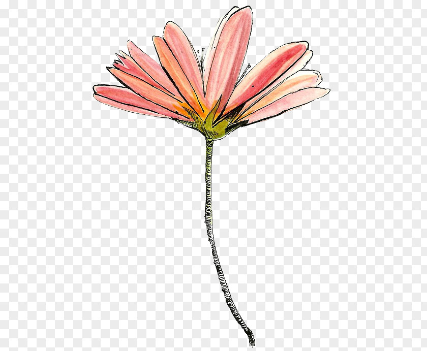 Watercolor Succulent Drawing Flower YouTube Art PNG