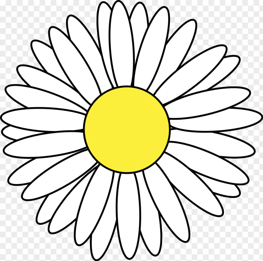 Daisy Drawing Clip Art PNG