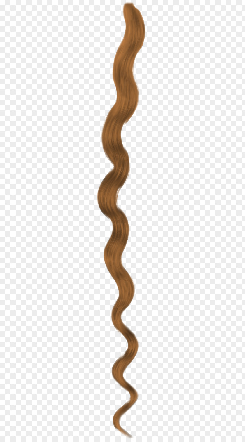 Hair Lock Of Braid Hairstyle Long PNG