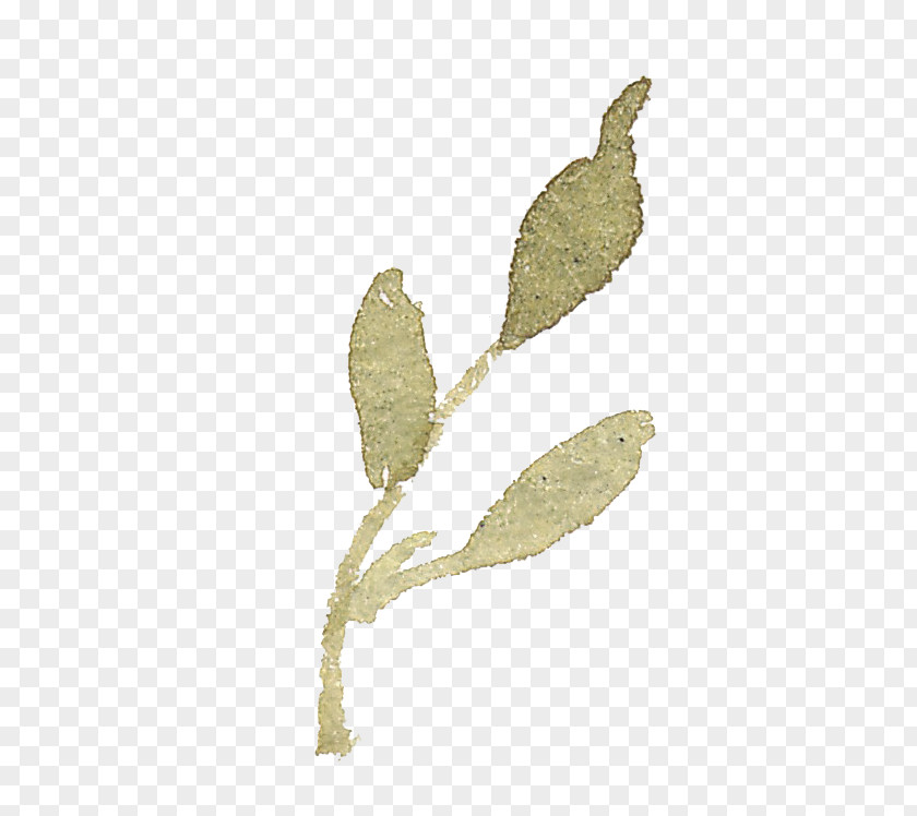 Ink Leaves Child Leaf Designer PNG