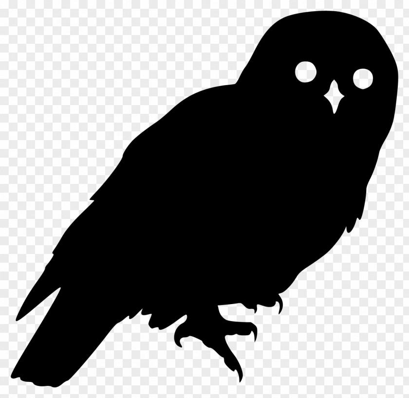 Owls Barred Owl Silhouette Clip Art PNG