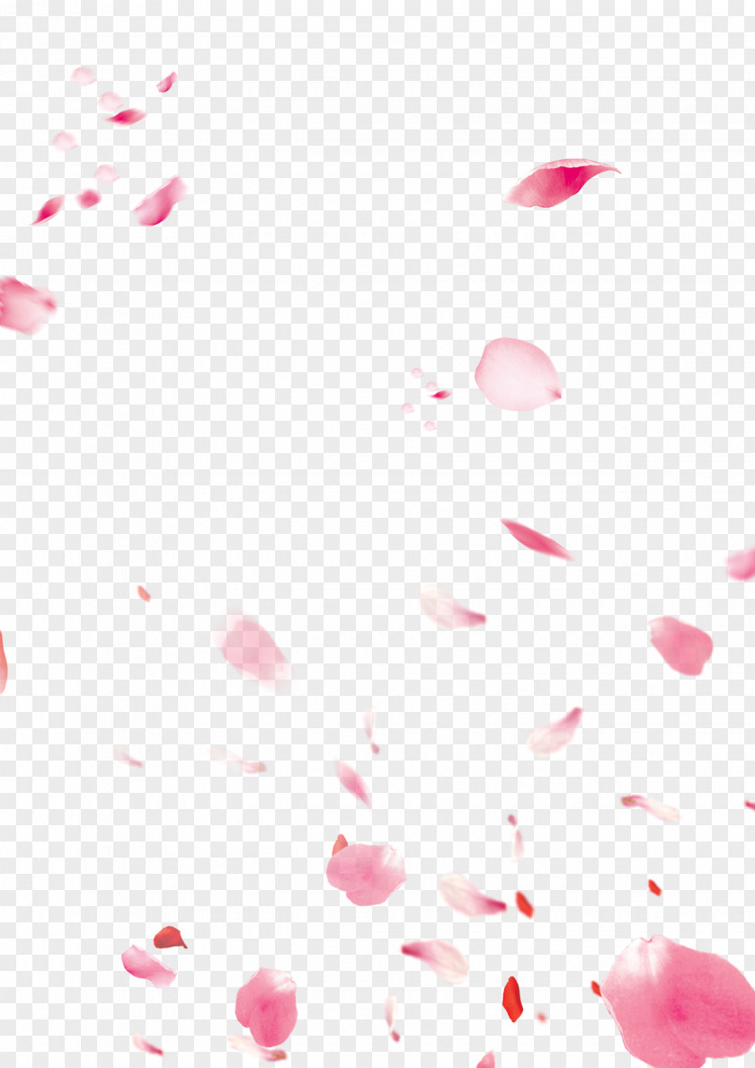 Peach Petals Decorated Background Material Fundal Download PNG