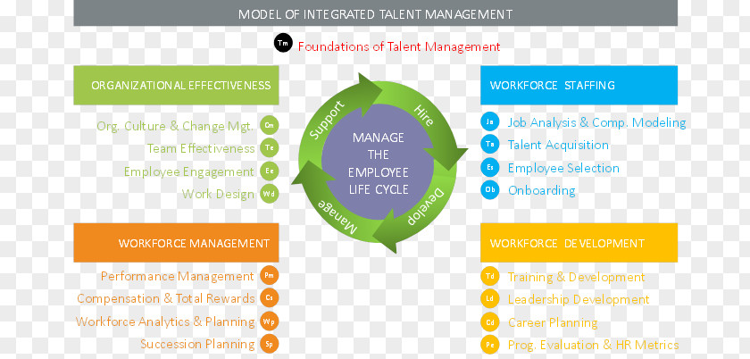 Talent Management Organization Leadership Employee Engagement PNG