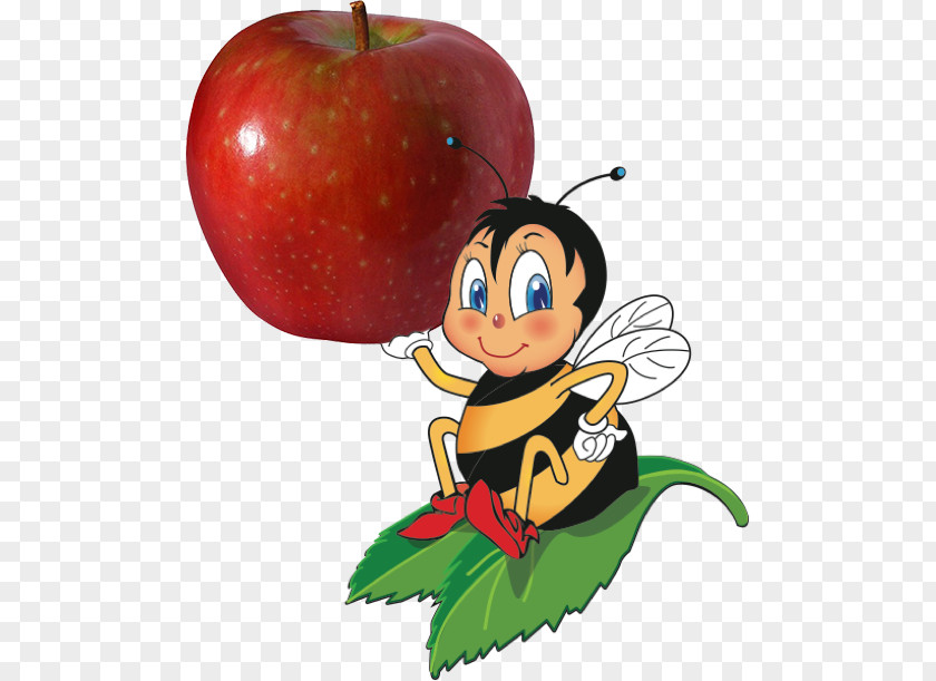 Apple SugarBee Honeycrisp Clip Art PNG