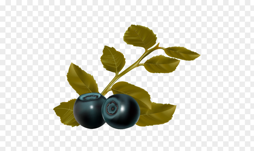 Cartoon Blueberries Blueberry Leaf Fruit PNG