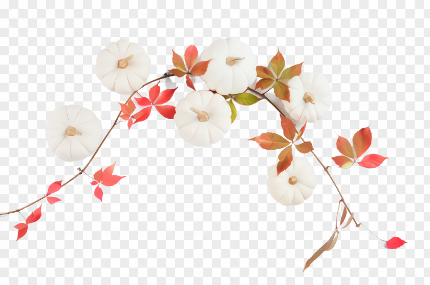 Cherry Blossom Petal PNG