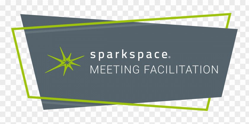 Columbus Ohio Sparkspace Graphic Facilitation Meeting Facilitator PNG