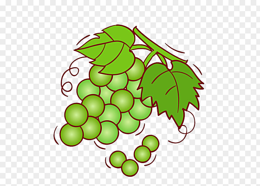 Crystal Grapes Grape Wine Shine Muscat Fruit Illustration PNG