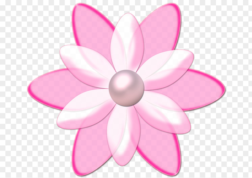 Summer Flower Glitter Casetify Clip Art Drawing Desktop Wallpaper Image PNG