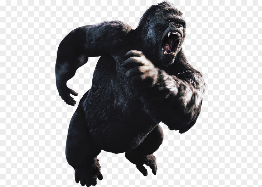 King Skull New York City Kong Godzilla YouTube PNG