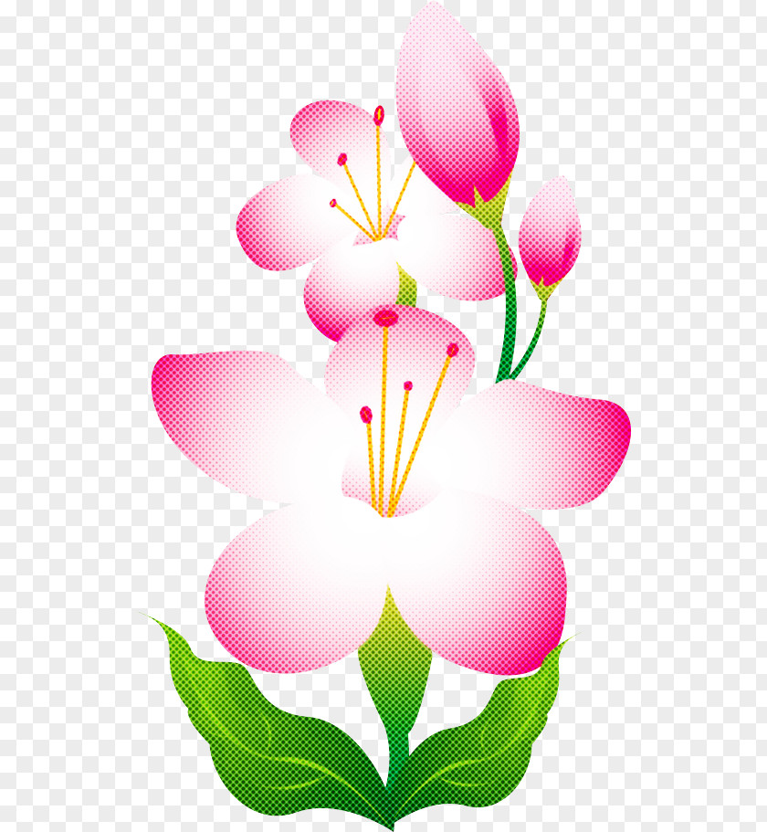Lily Flower Floral PNG