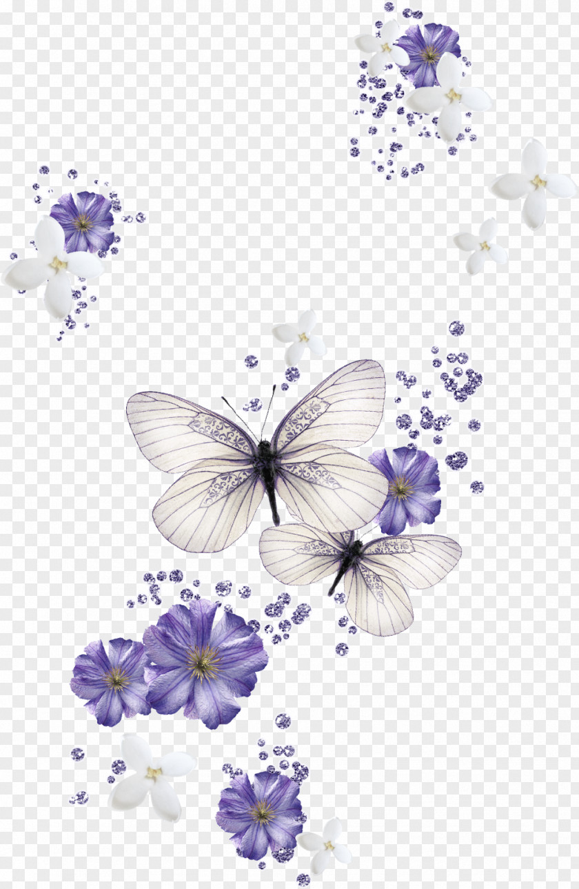Magnolia Butterfly Background Desktop Wallpaper Color Clip Art PNG