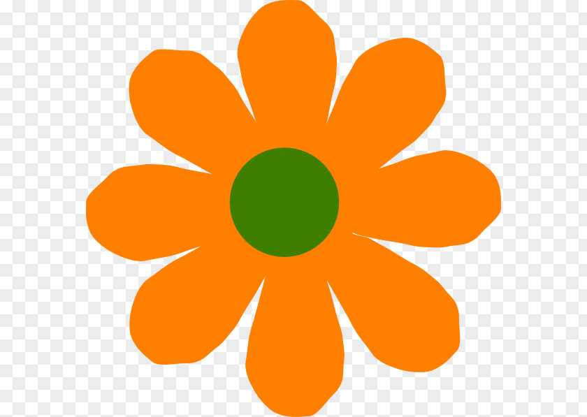 Orange Flowers Flower Spring Clip Art PNG