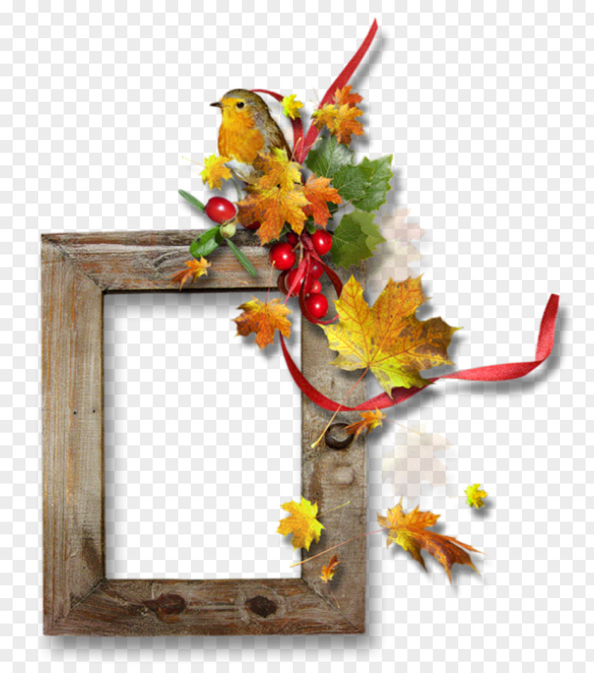Picture Frame Floral Design PNG