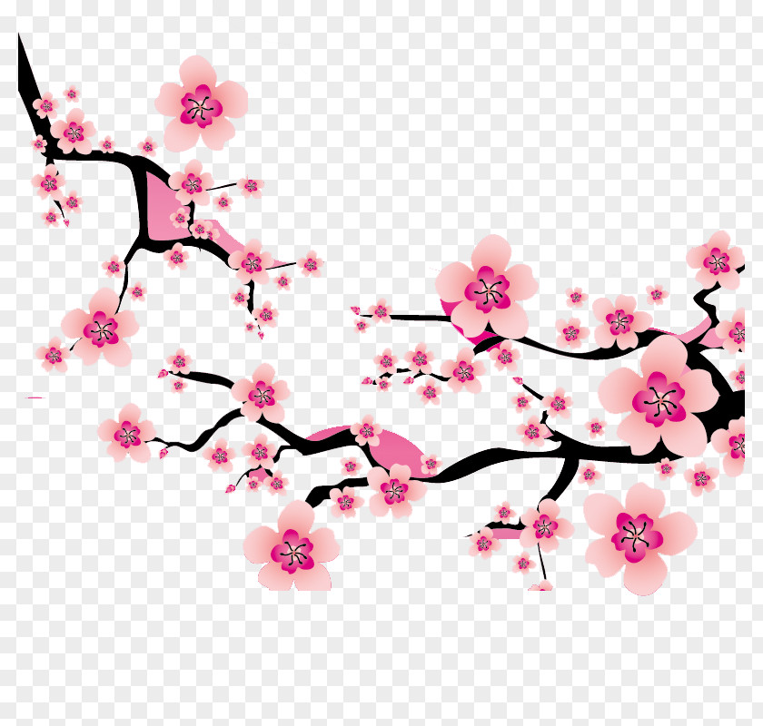 Plum Flower Cherry Blossom Clip Art PNG