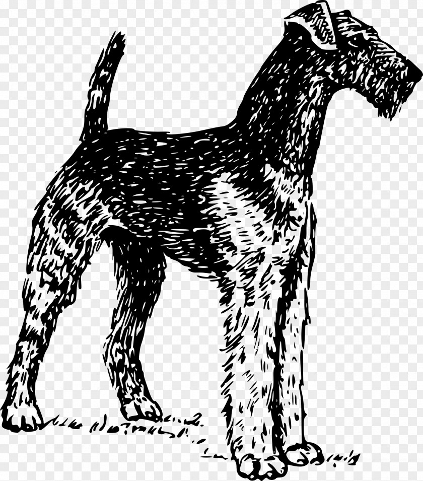 Puppy Clipart Airedale Terrier Bull Soft-coated Wheaten West Highland White Yorkshire PNG