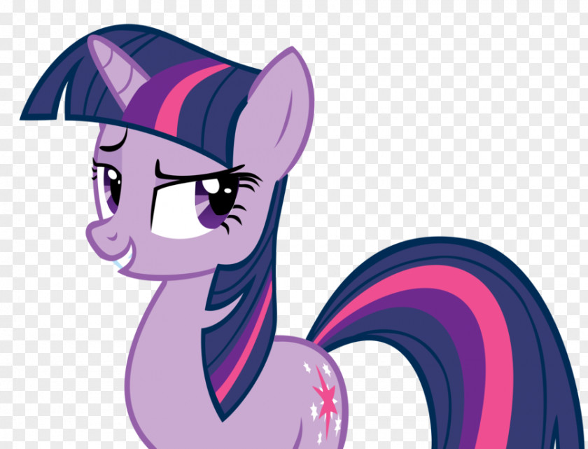 Twilight Sparkle Rainbow Dash Pinkie Pie Rarity Applejack PNG