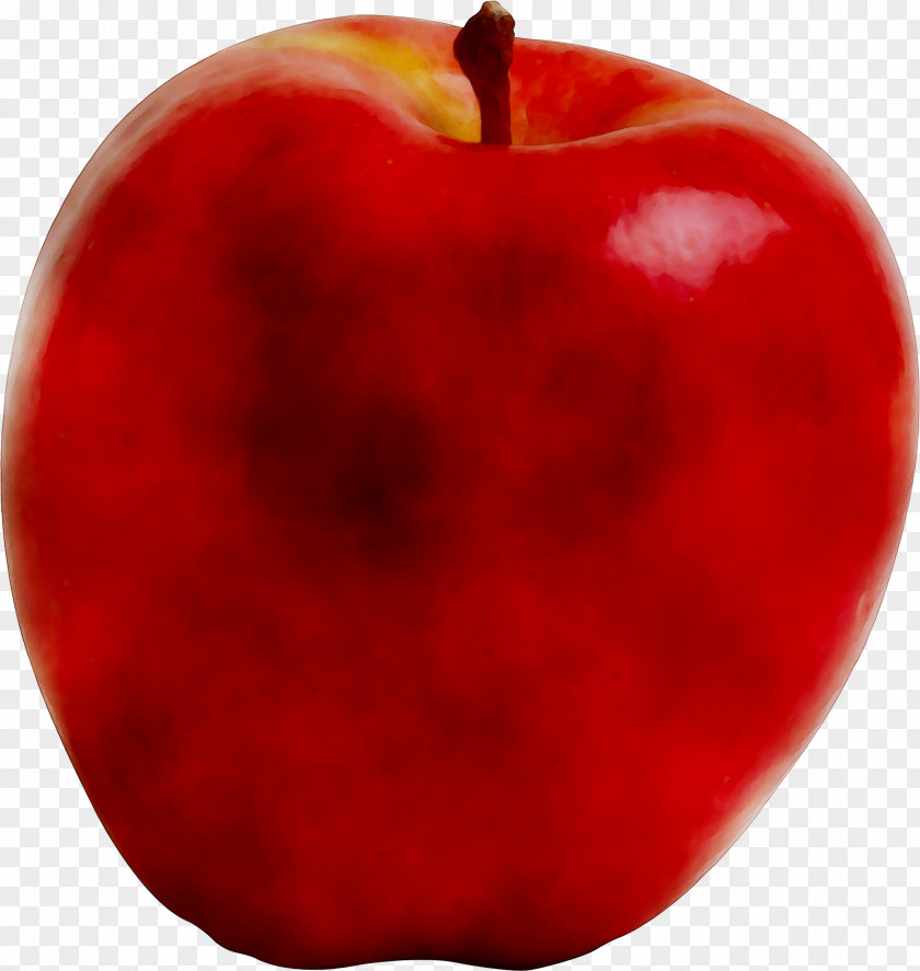 Accessory Fruit McIntosh Laboratory RED.M PNG