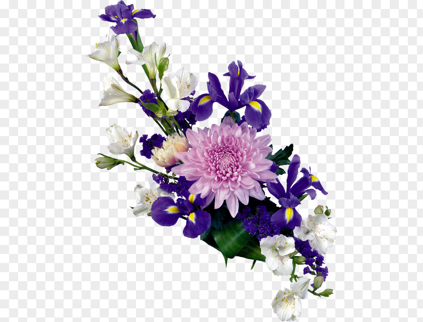 Flower Floral Design Bouquet Cut Flowers PNG