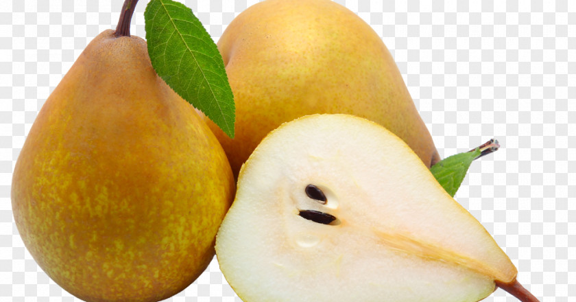 Pear Bosc Fruit Cultivar Pome PNG