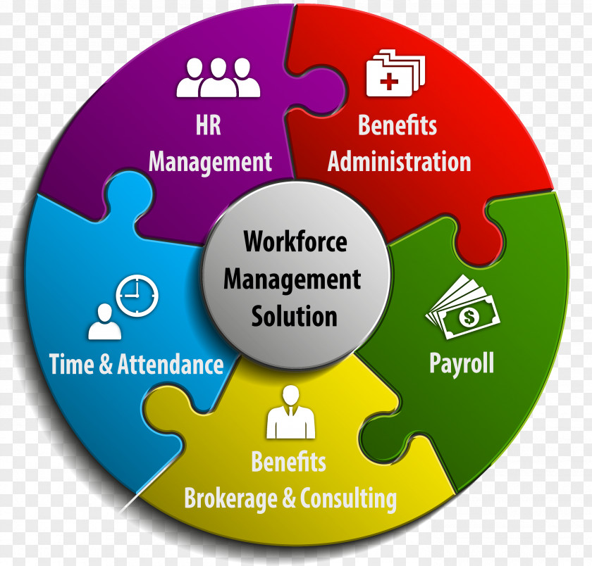 Shutterstock Workforce Management Organization Human Resource Consulting PNG