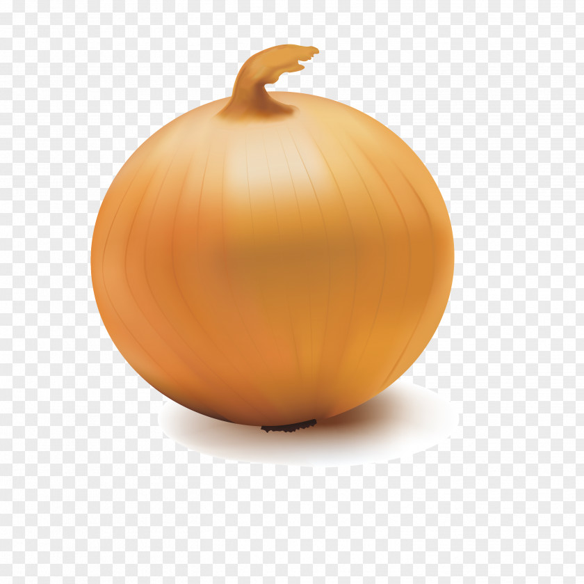 Delicious Onion Pumpkin Calabaza Vegetable PNG