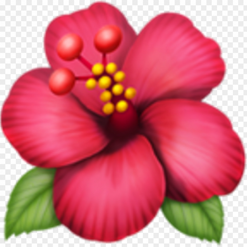 Emoji Emojipedia Flower Rosemallows IPhone PNG