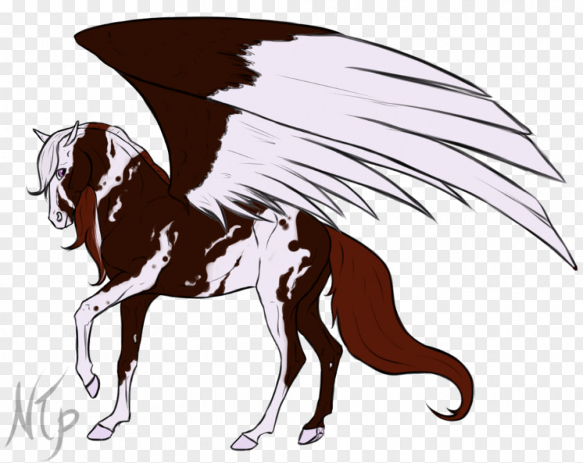 Fantasy Horse Mane Mustang Pony Rein PNG