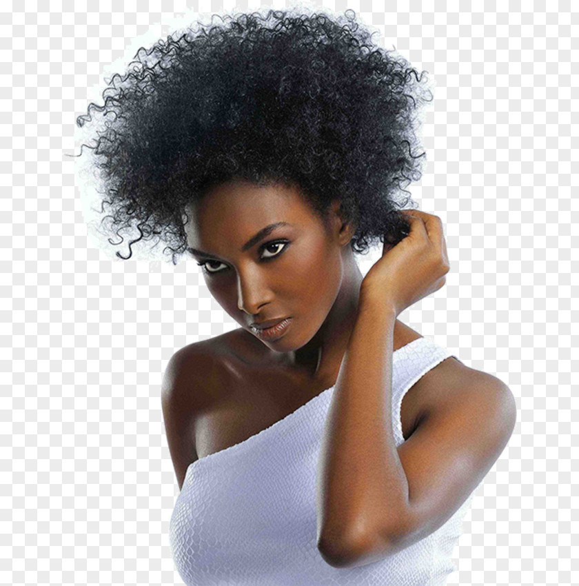 Hair Hairstyle Afro-textured Frizz Care PNG