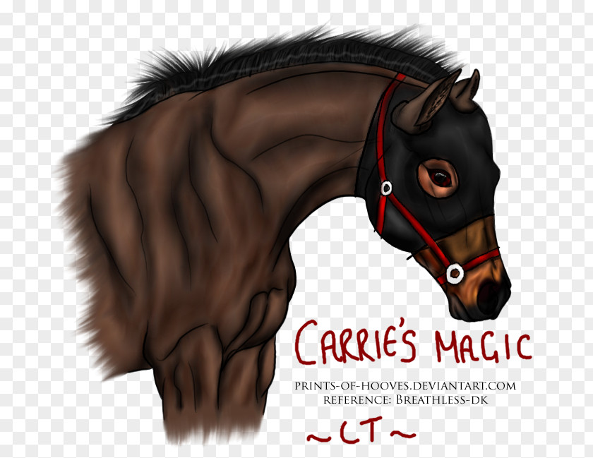 Mustang Horse Racing Stallion Pony Trainer PNG