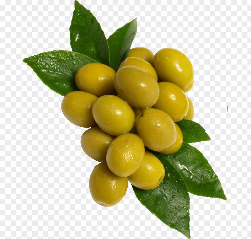 Olive Mediterranean Cuisine Fruit Image File Formats PNG